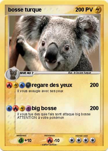 Pokemon bosse turque