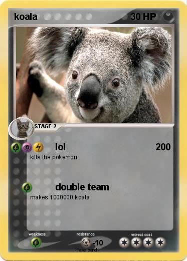 Pokemon koala