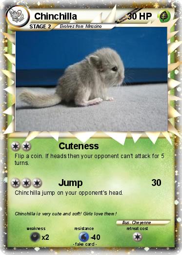 Pokemon Chinchilla