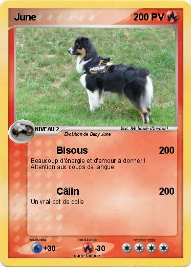 Pokemon June