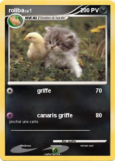 Pokemon roliba
