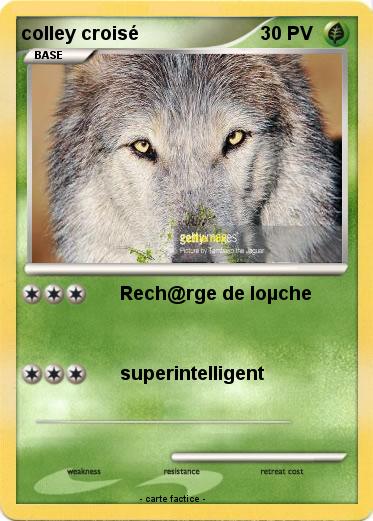 Pokemon colley croisé