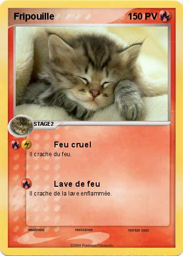 Pokemon Fripouille