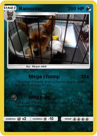 Pokemon Ramonter