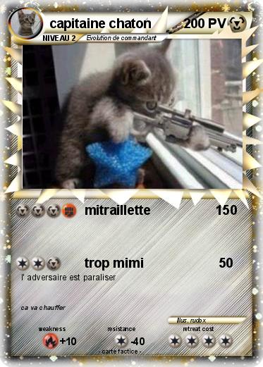 Pokemon capitaine chaton