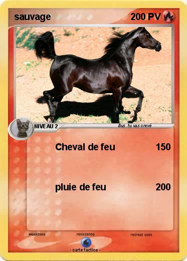 Pokemon sauvage
