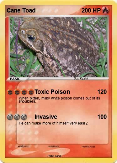 Pokemon Cane Toad