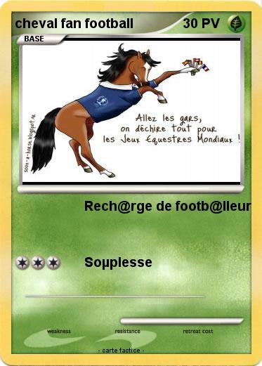 Pokemon cheval fan football