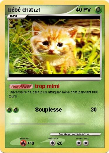 Pokemon bébé chat