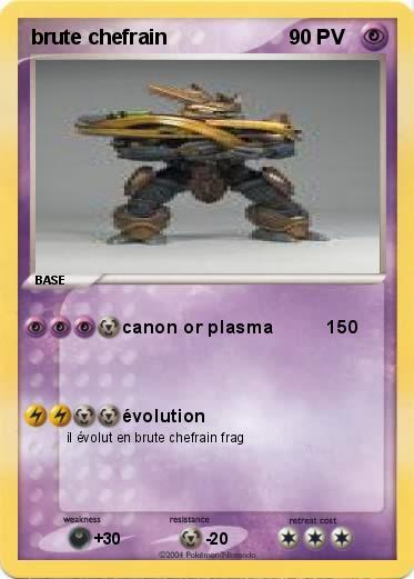 Pokemon brute chefrain 