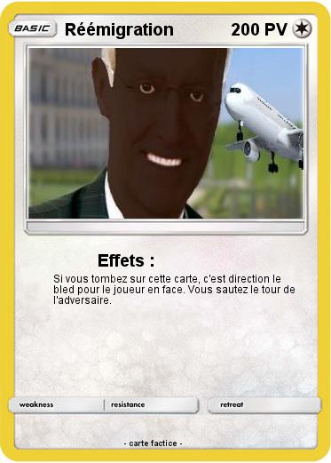 Pokemon Réémigration