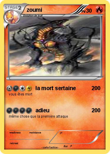 Pokemon zoumi