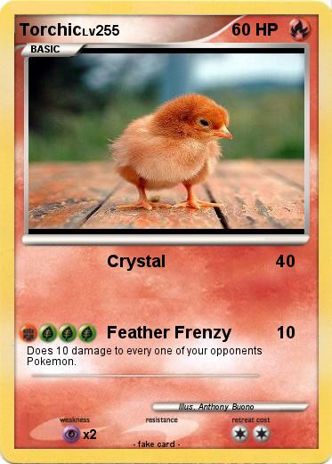 Pokemon Torchic