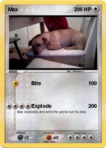 Pokemon Max
