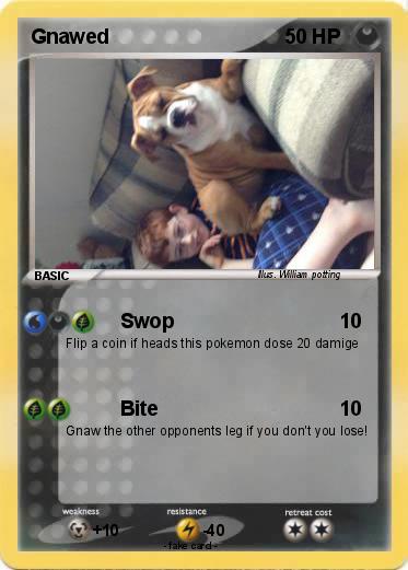 Pokemon Gnawed