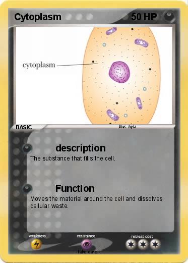 Pokemon Cytoplasm