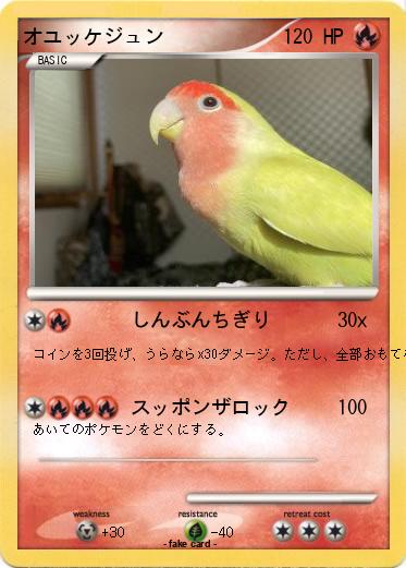 Pokemon オユッケジュン