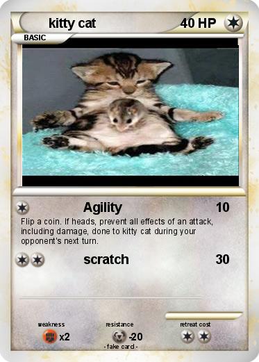 Pokemon kitty cat