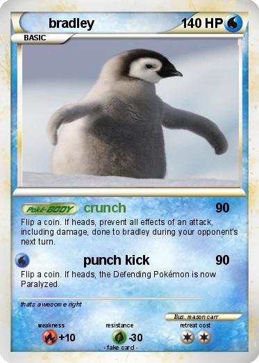 Pokemon bradley