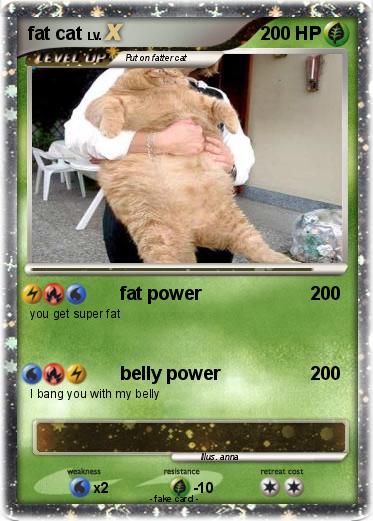 Pokemon fat cat
