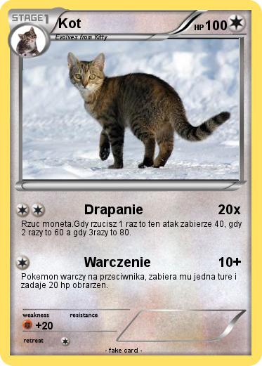 Pokemon Kot