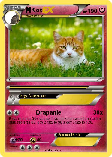 Pokemon Kot