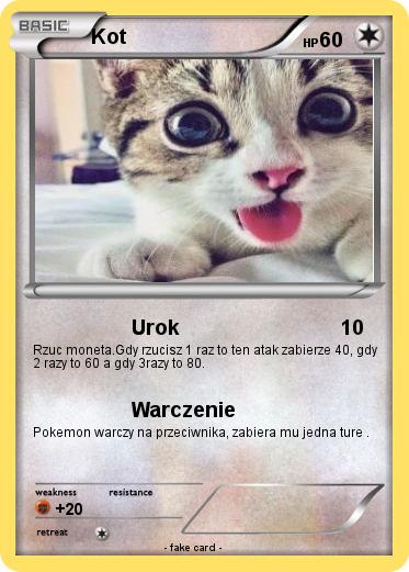 Pokemon Kot