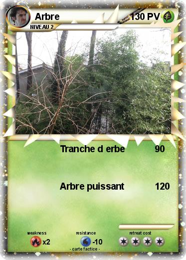 Pokemon Arbre