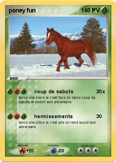 Pokemon poney fun