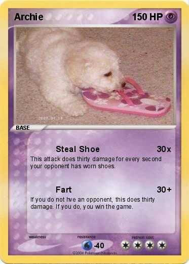 Pokemon Archie