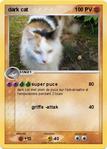 Pokemon dark cat