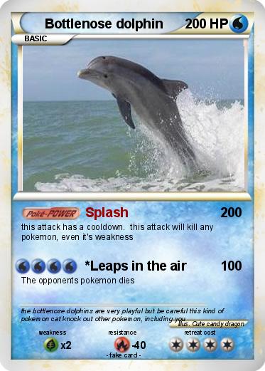 Pokemon Bottlenose dolphin