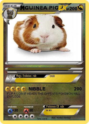 Pokemon GUINEA PIG