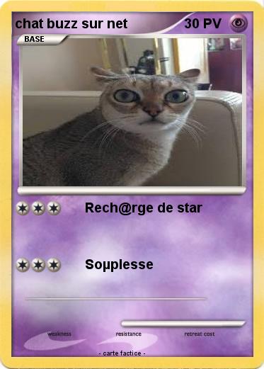 Pokemon chat buzz sur net