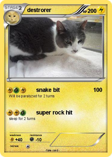 Pokemon destrorer