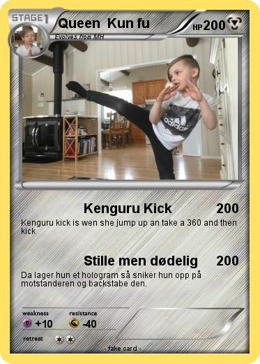 Pokemon Queen  Kun fu