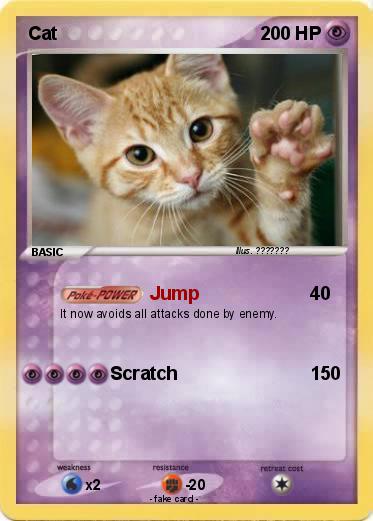 Pokemon Cat