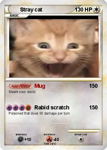 Pokemon Stray cat