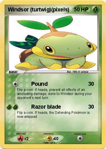 Pokemon Windsor (turtwig)(pixels)