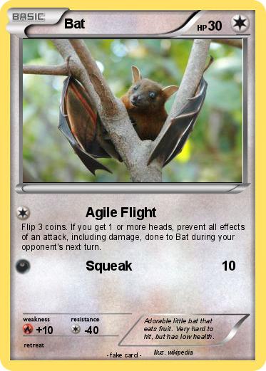 Pokemon Bat