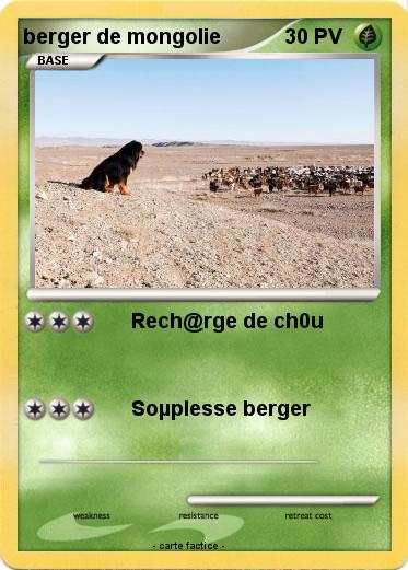 Pokemon berger de mongolie