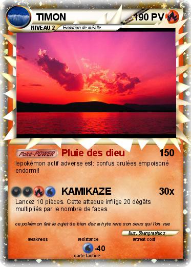 Pokemon TIMON