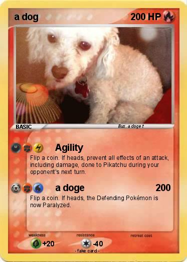 Pokemon a dog