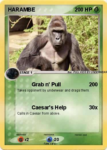 Pokemon HARAMBE