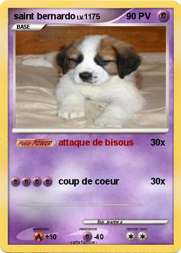 Pokemon saint bernardo