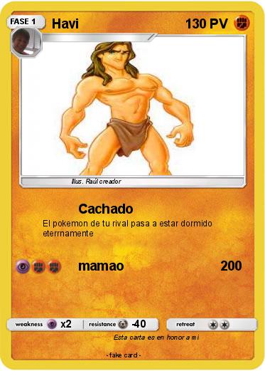 Pokemon Havi