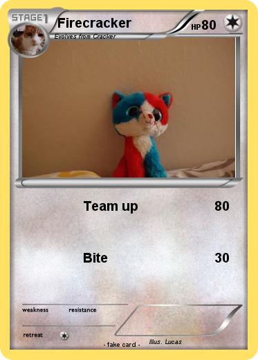 Pokemon Firecracker