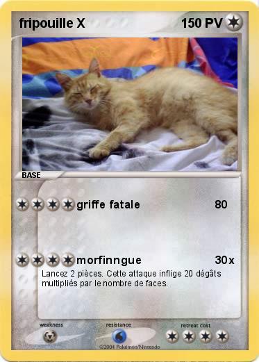 Pokemon fripouille X