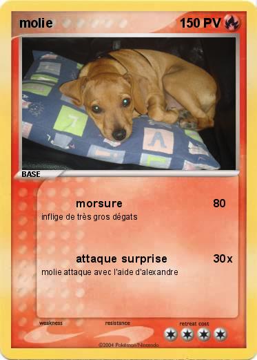 Pokemon molie