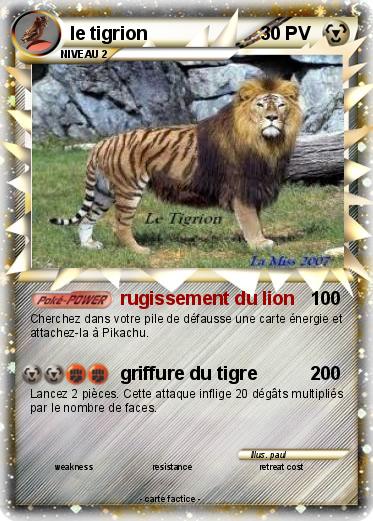 Pokemon le tigrion